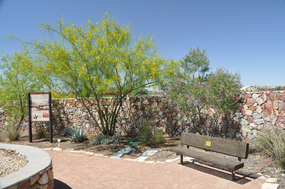 El Paso Desert Botantical Gardens 5