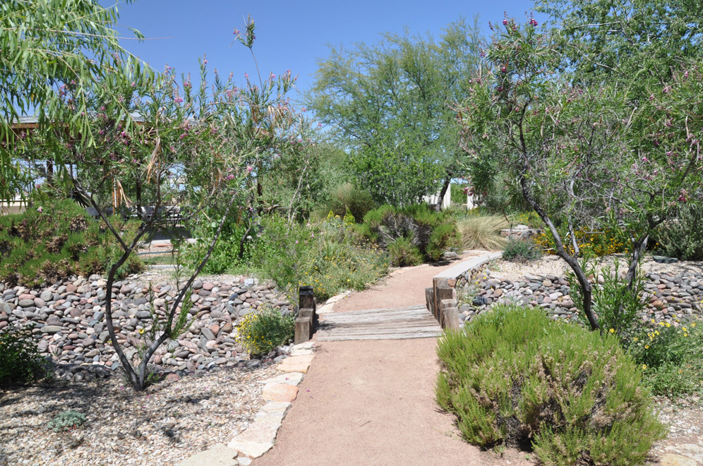 El Paso Desert Botantical Gardens 16