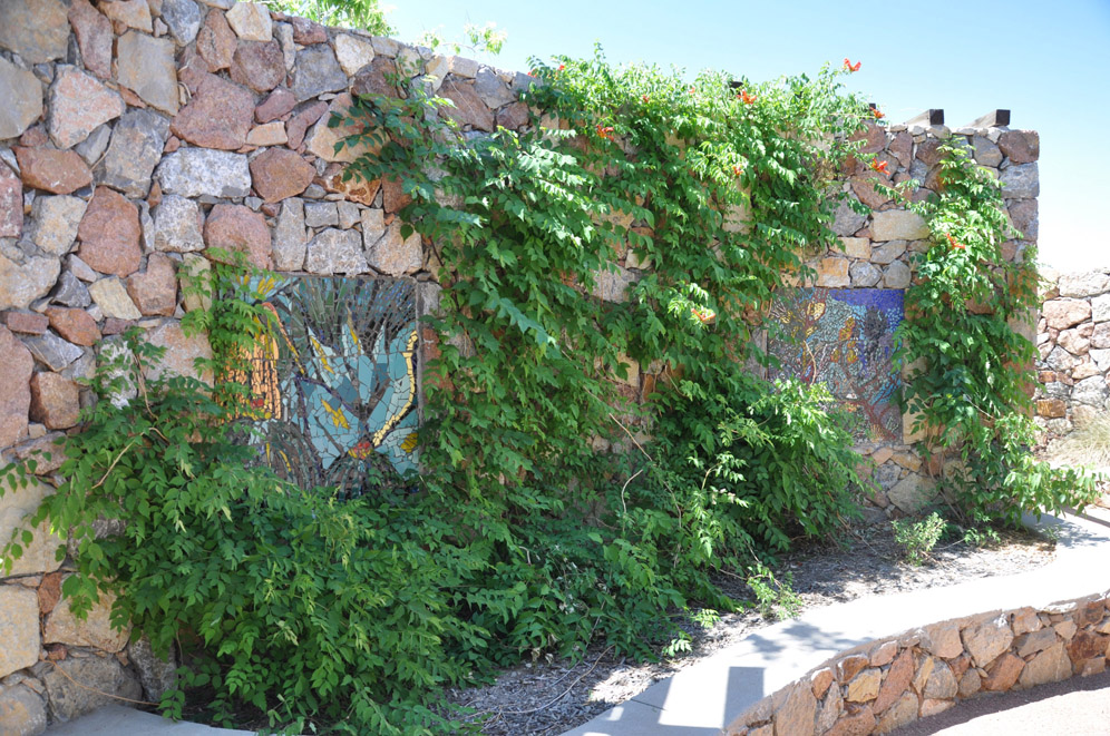 El Paso Desert Botantical Gardens 27
