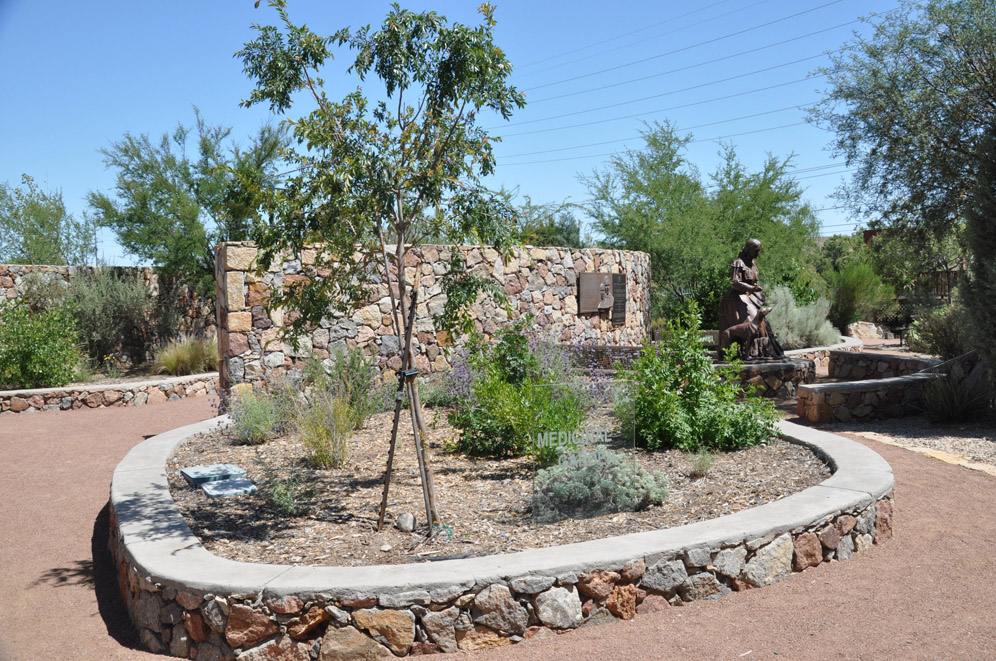 El Paso Desert Botantical Gardens 30