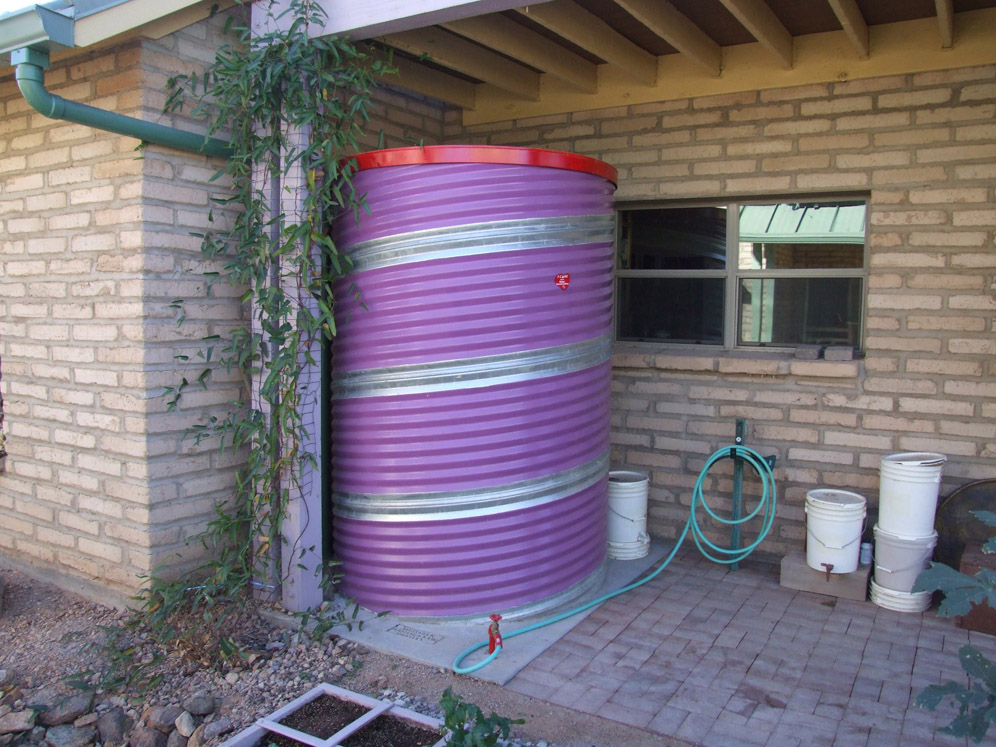 Purple Cistern with Red Top