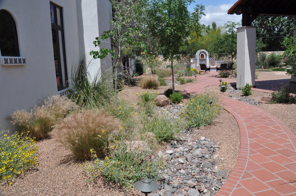 Courtyard El Paso Garden 13