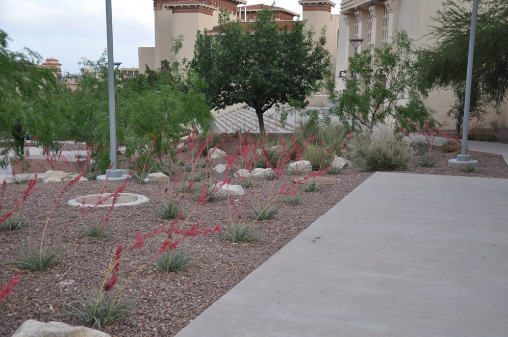 UTEP Campus 6