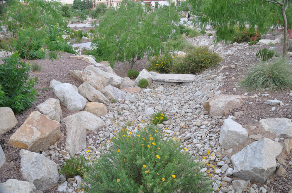 UTEP Campus 8