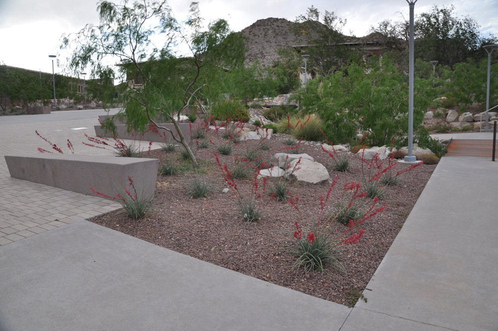 UTEP Campus 9