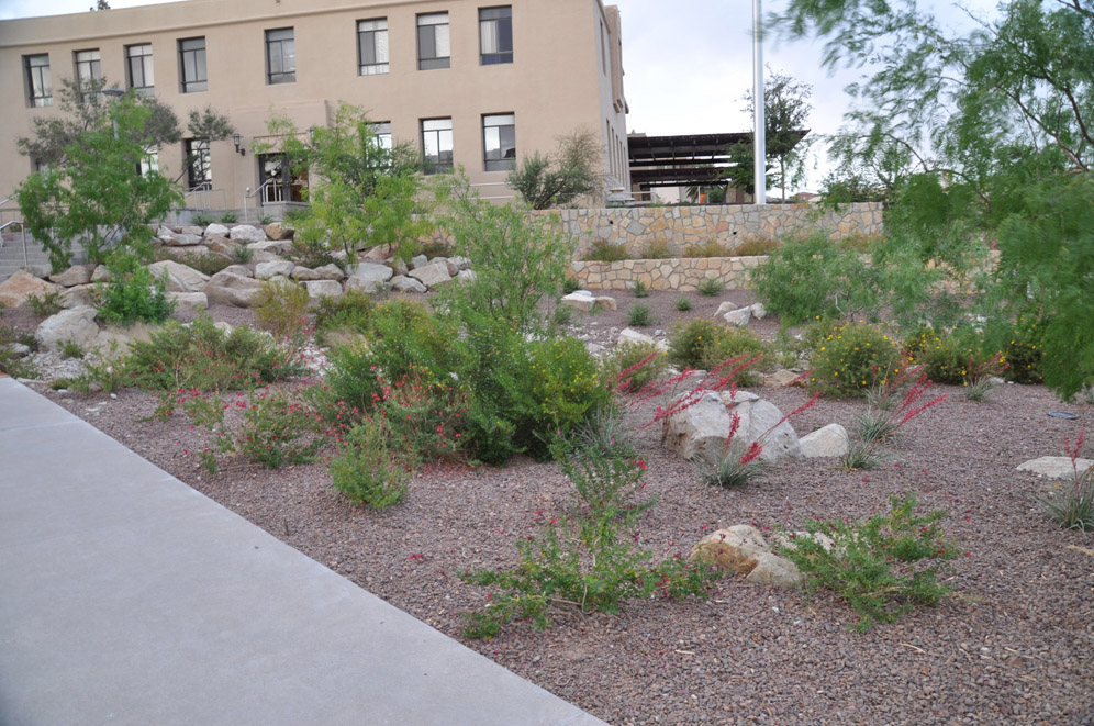 UTEP Campus 10