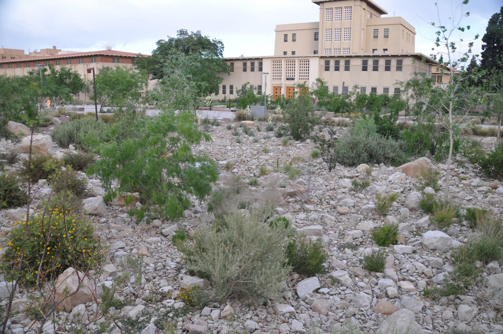 UTEP Campus 16