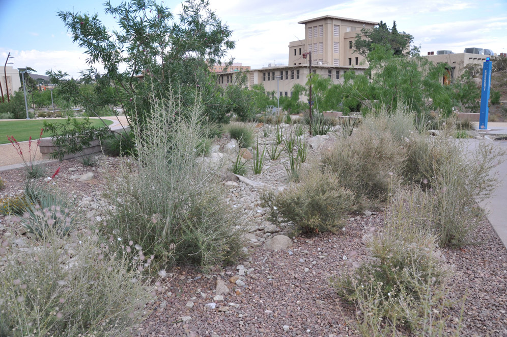 UTEP Campus 24