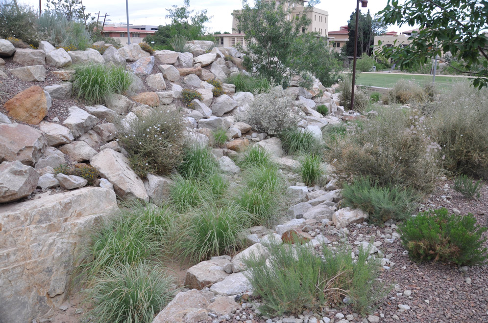 UTEP Campus 27