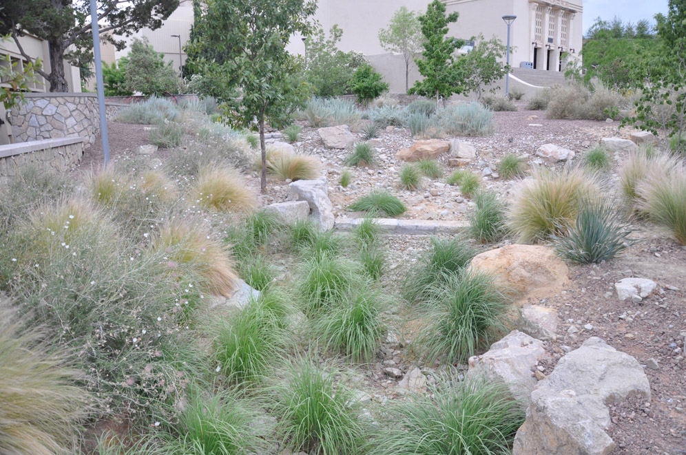 UTEP Campus 28