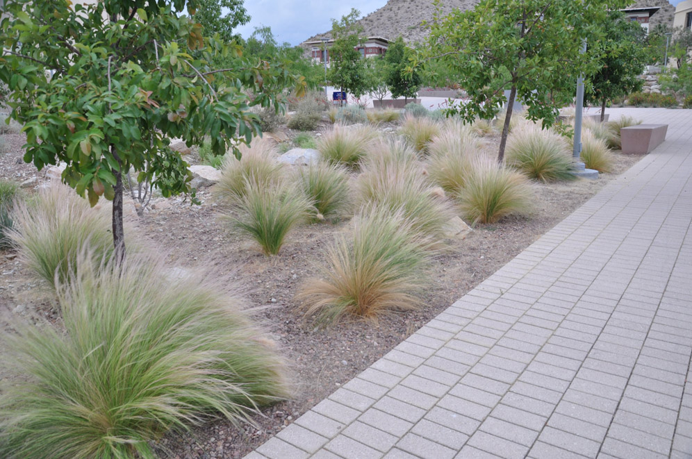 UTEP Campus 29