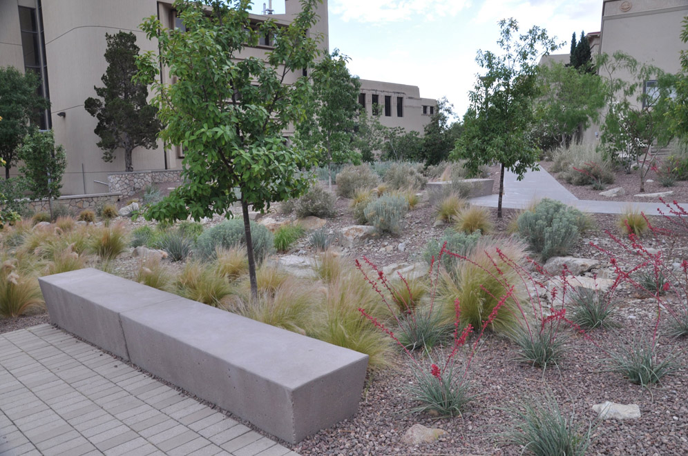 UTEP Campus 30