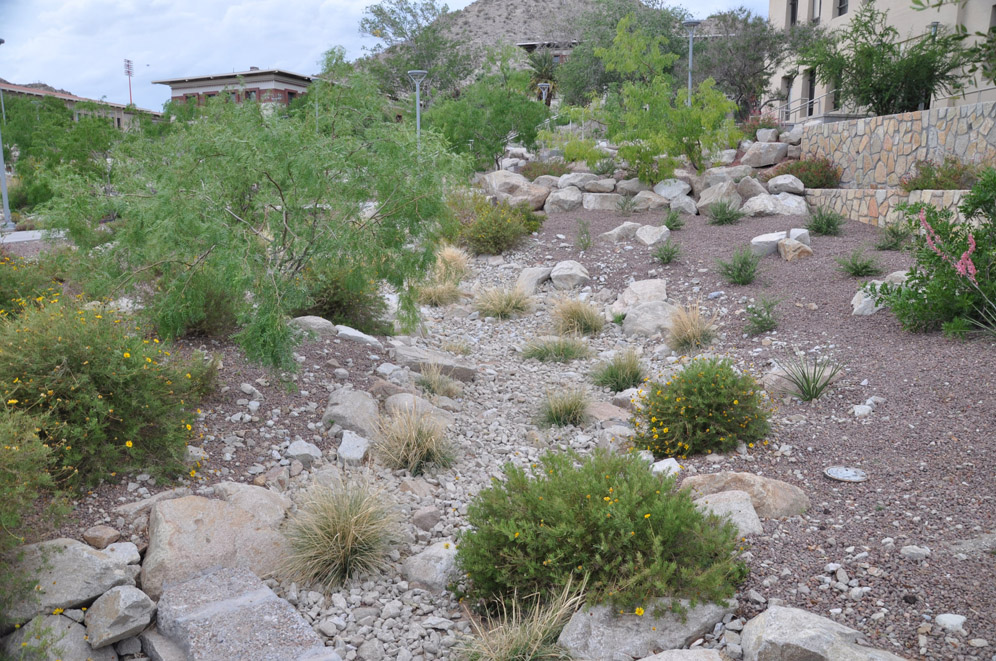 UTEP Campus 37