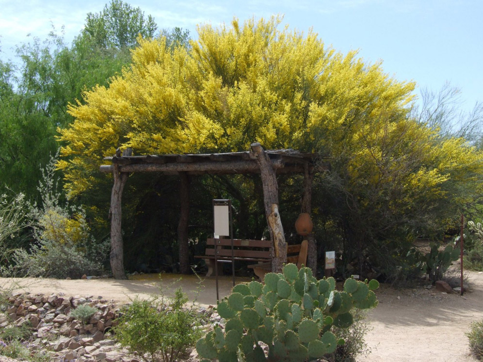 Tohono O'odham Ramada