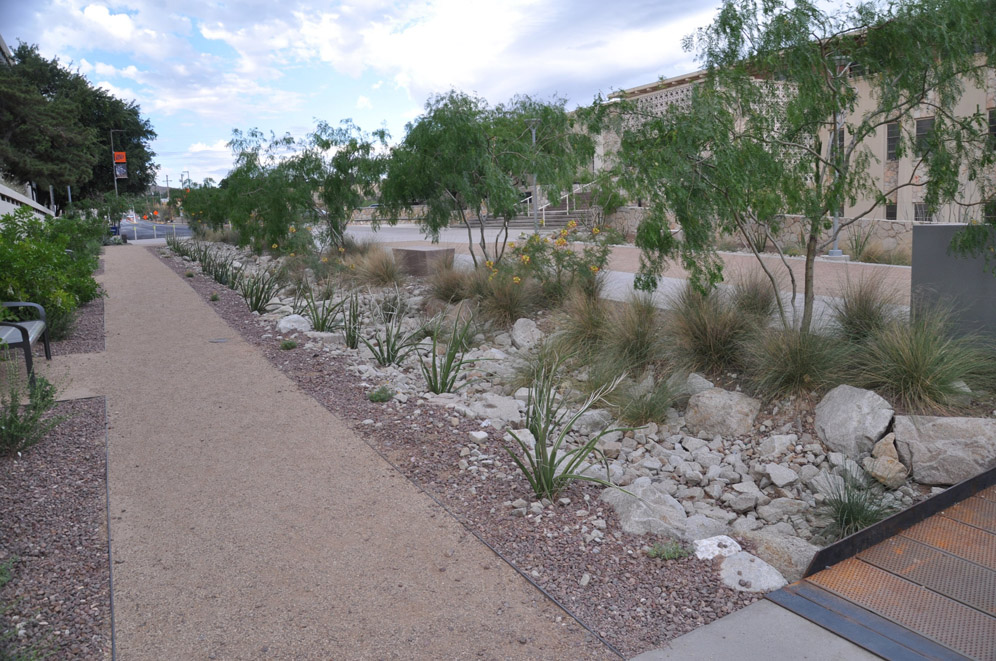 UTEP Campus 53