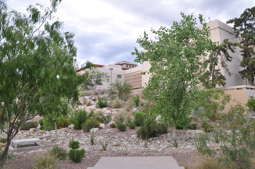 UTEP Campus 54