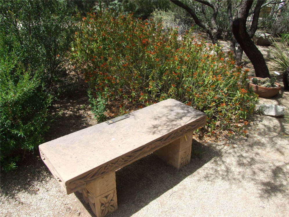 Bench for Contemplation