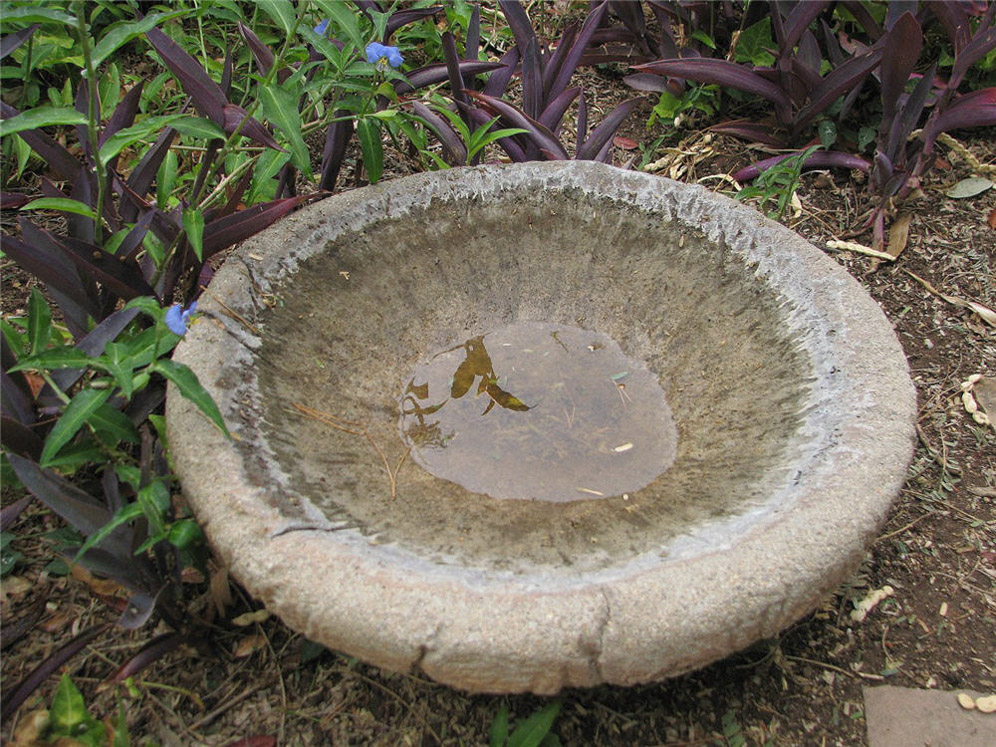 Small Bird Bath