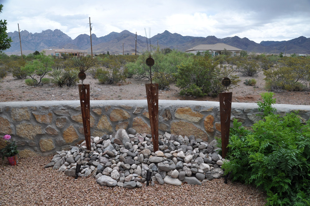 Organ Mountain Vista Garden 10