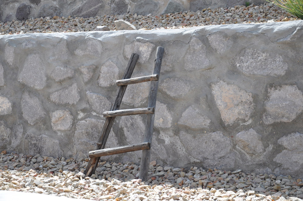 Terrace and Ladder Garden 5