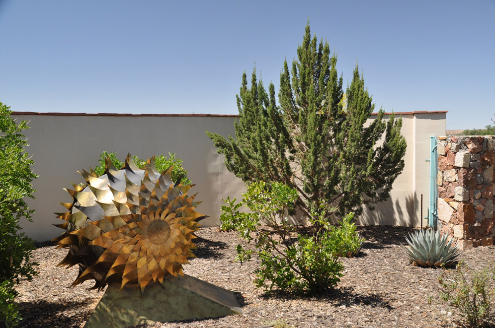 El Paso Desert Botantical Gardens 6