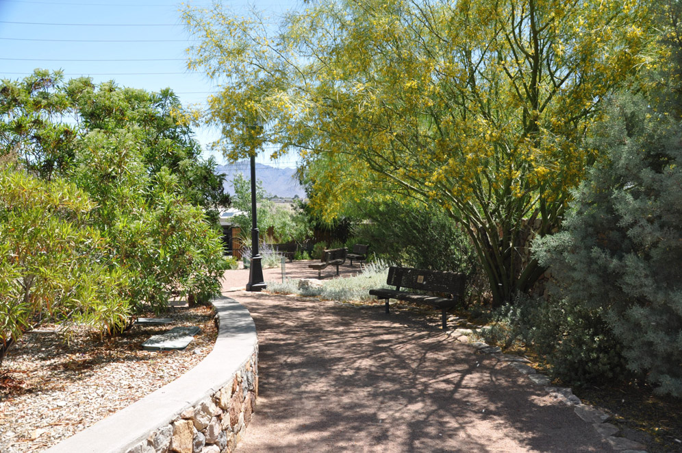 El Paso Desert Botantical Gardens 8