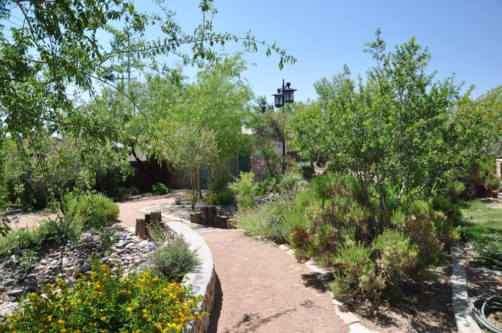 El Paso Desert Botantical Gardens 17