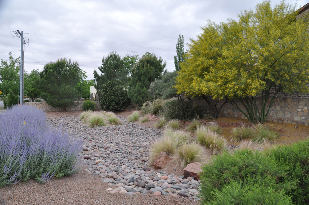 El Paso General Gardens 3