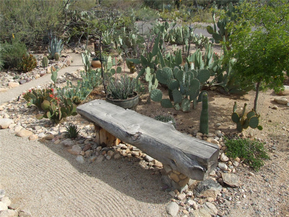 Tree Trunk Bench