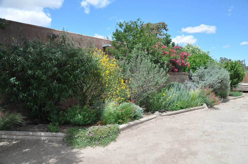 Mesilla Garden 4