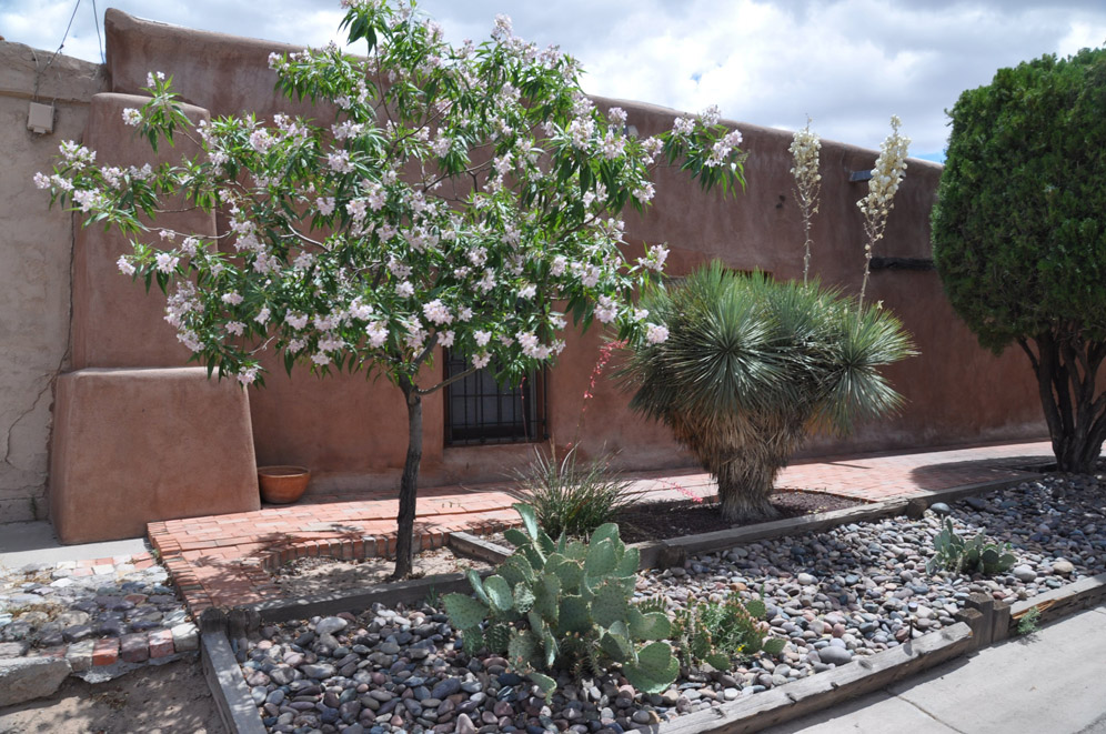 Mesilla Garden 6