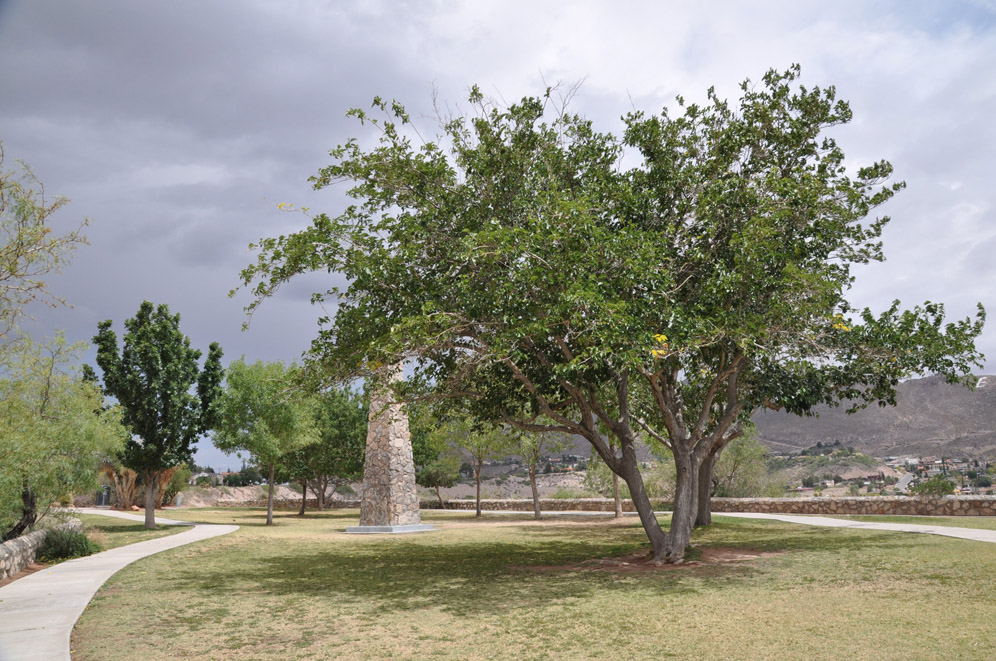 El Paso Public Spaces 3