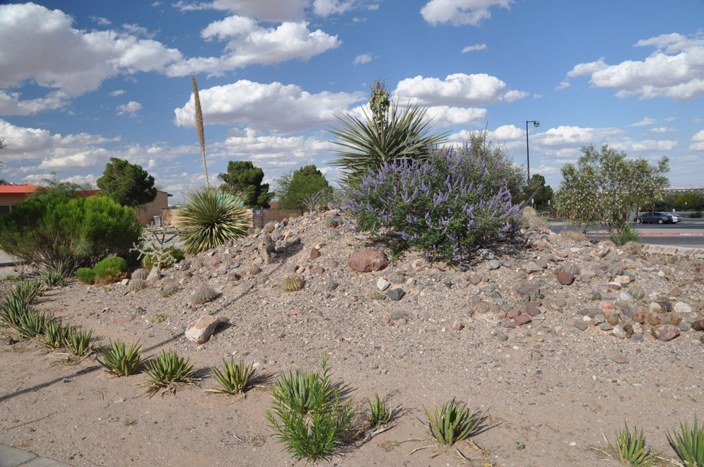 El Paso Public Spaces 9