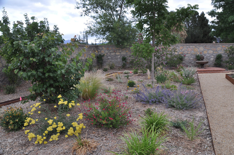 Raised Planter Garden 9