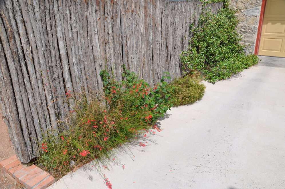 Backyard Trellis Garden 13